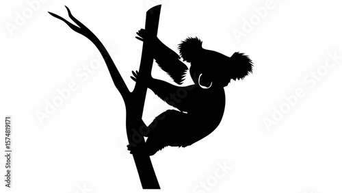 Silhouette of a koala bear clinging to a tree branch in a black and white vector illustration style