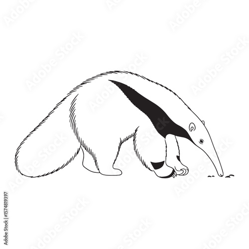 Solid Anteater Terrestrial Form Outline - Anteater vector - Anteater Line art - Anteater Drawing - Vector Lineart of Anteater - Anteater icon - its commanding intricate tiny shape


