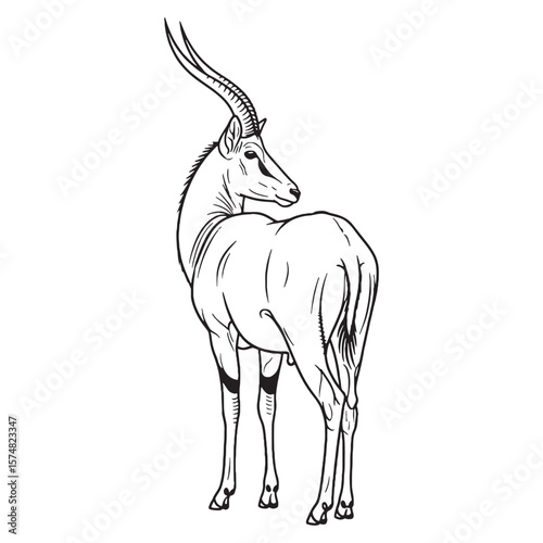 Graceful Antelope Wildness Disposition - Antelope vector - Antelope Line art - Antelope Drawing - Vector Lineart of Antelope - Antelope illustration - its inherent elegant untamed power

