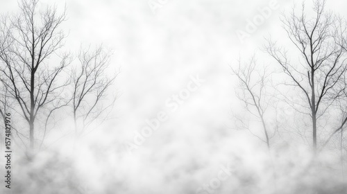Foggy, barren woodland scene