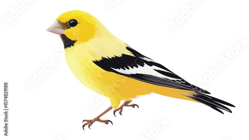 American Goldfinch Icon on White Background - Yellow Bird