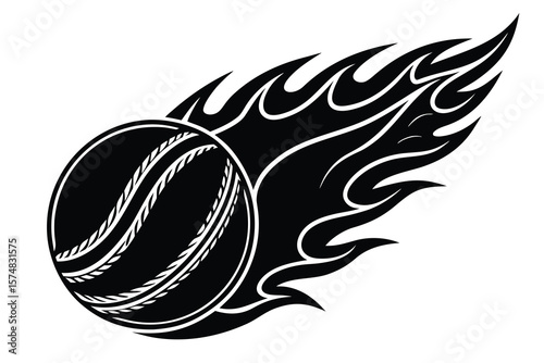 Black and White Cricket Ball with Flames Illustration Logo Design
