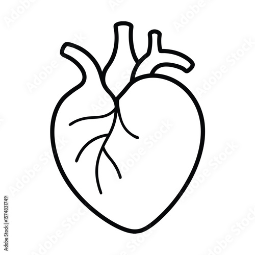 vector illustration of a circulatory system