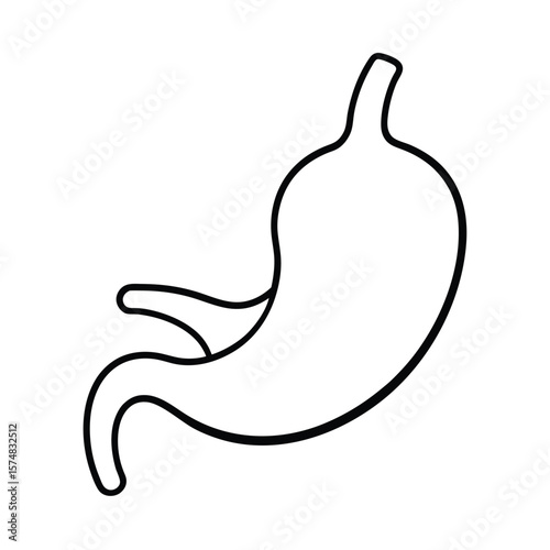 vector illustration of a gallbladder 