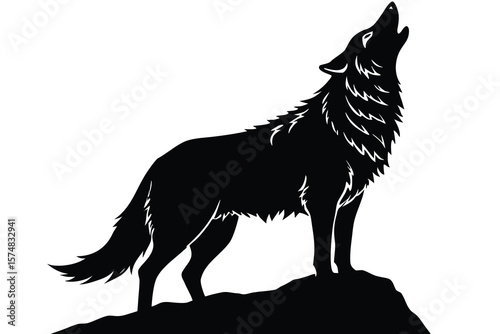 wolf vector illustration