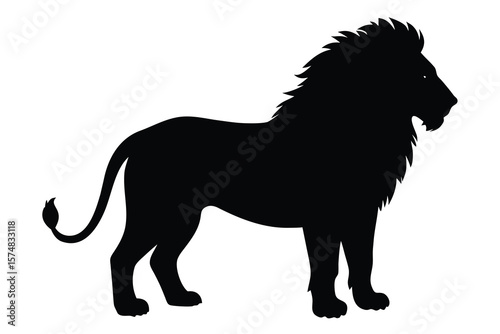 lion vector illustration