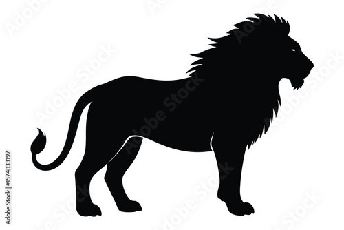 lion vector illustration