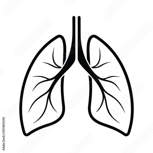 vector illustration of a lungs