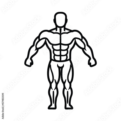 3d rendered illustration of a human body