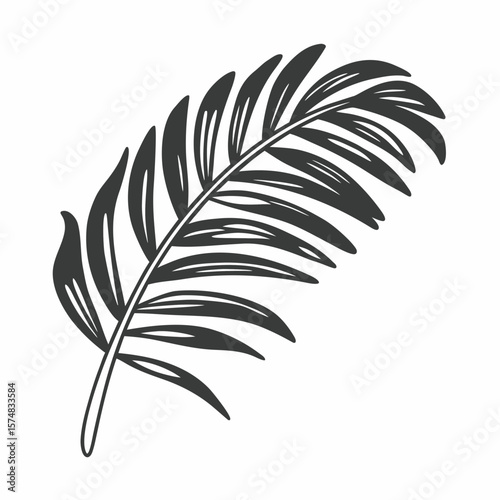 Tropical palm leave in sketch style, isolated vector illustration. Leave of palm tree in linear doodle style. Botanical minimalist print of exotic leave, sketch design.
