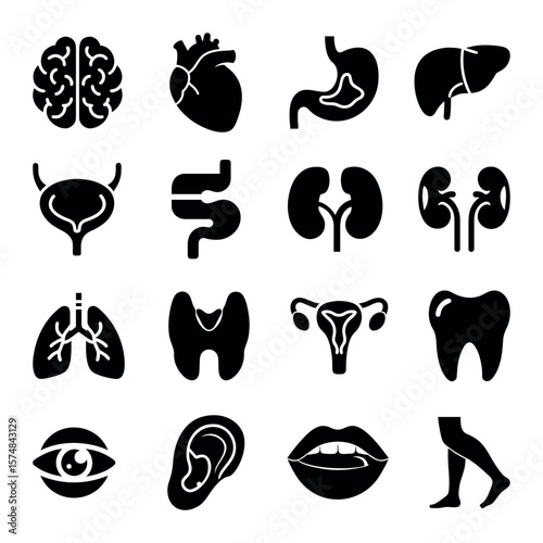 Human organ medical icons set in black flat pictogram style – brain, heart, lungs, tooth, bone, skin, nerves, internal body parts and health symbols