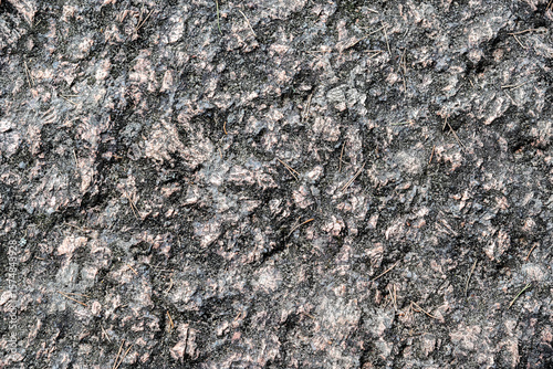 Granite stone surface with roughness and unevenness with old pine needles for use as abstract background and texture.
