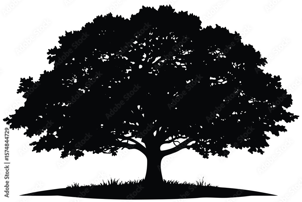 Fototapeta premium vector tree silhouette