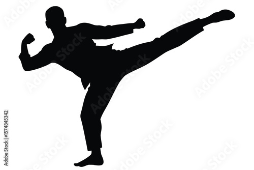 karate silhouette vector