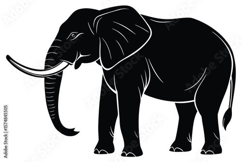 elephant isolated on white
