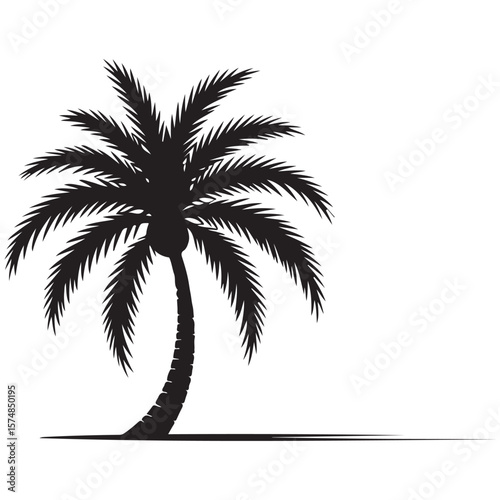 palm tree silhouette
