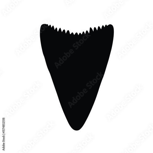 Black dinosaur tooth silhouette fossil prehistoric