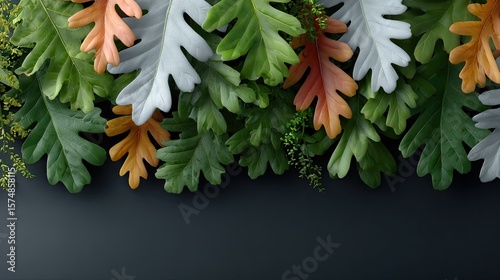 Vibrant oak leaves display a range of colors from green to orange, highlighting the beauty of autumn against a dark backdrop