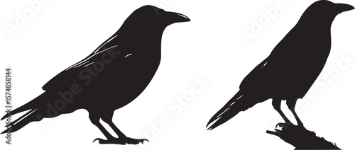 Crow Silhouette Vector Set Perched Bird Illustration