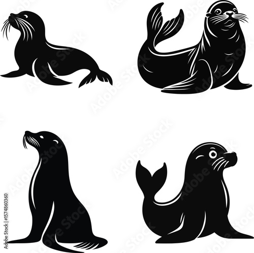Set of Black Silhouettes of Seals in Various Poses