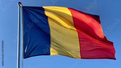Waving flag of Chad
