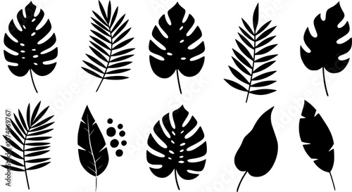 et of abstract tropical leaves. Abstract botanical element collection with Earth tone color. Design for natural and floral background pattern, cards and packaging, cosmetics, spa, beauty care.