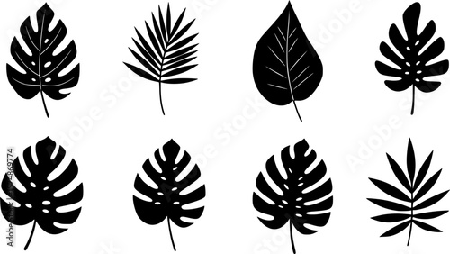 et of abstract tropical leaves. Abstract botanical element collection with Earth tone color. Design for natural and floral background pattern, cards and packaging, cosmetics, spa, beauty care.