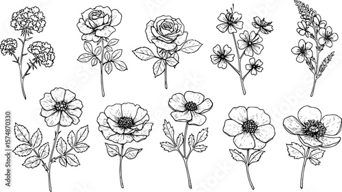 Gold hand drawn flower