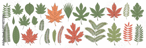 Colorful hand-drawn leaf collection with maple, oak, palm, and fern – Ideal for autumn-themed designs, eco graphics, or natural product branding.
