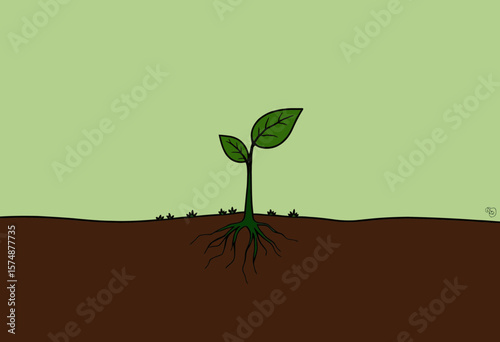 Green plant sprouting from soil with roots on light background  