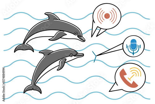 Dolphin echolocation infographic explaining sound wave navigation and communication