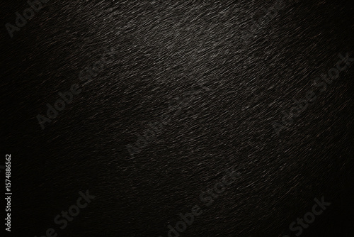 black horse skin texture