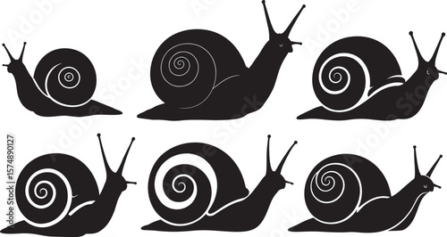 snail vector illustration