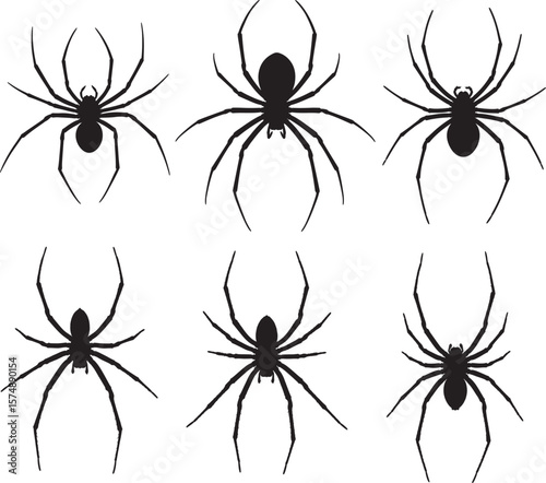 set of spider web