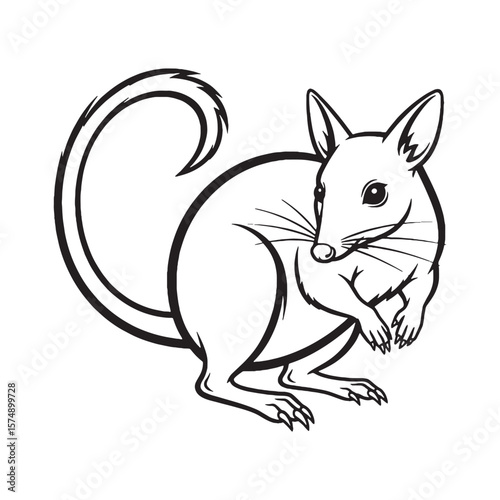 Broad Bandicoot Distinctive Character Insight - Bandicoot vector - Bandicoot Line art - Bandicoot Drawing - Vector Lineart of Bandicoot - Bandicoot icon - its universally recognized small visage

