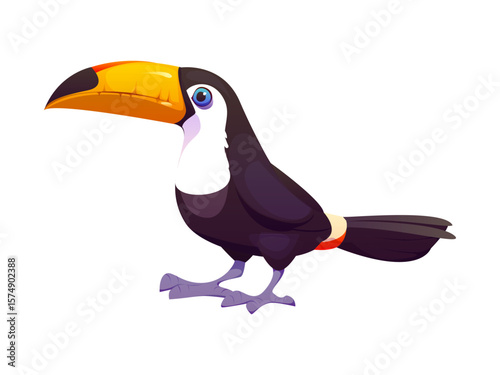 Cartoon Mexican toucan bird with a large yellow beak, black feathers, white chest, and expressive blue eyes. Isolated vector jungle forest or tropical avian creature living in jungle or rainforest