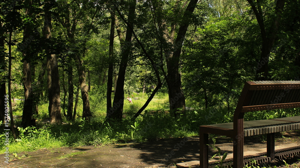 bench in the park bench in the park