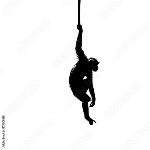 A silhouette of a monkey hanging from a rope with one hand and pointing down with its foot showing