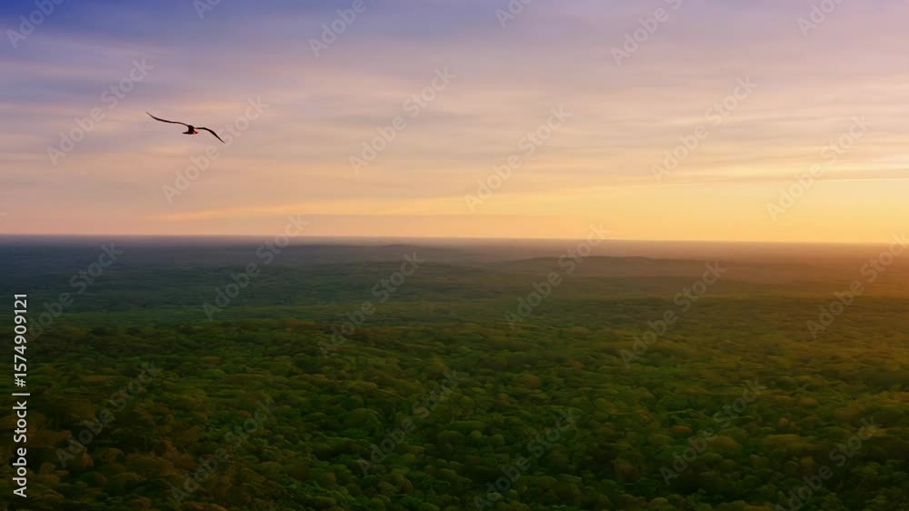 A bird soars above a lush green forest under a colorful sunset sky, casting a serene atmosphere over the landscape. A bird soars above a lush green forest under a colorful sunset sky, casting a serene atmosphere over the landscape.