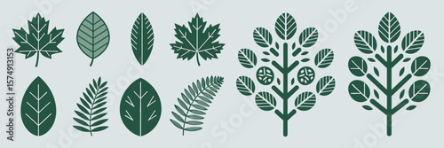 Botanical vector illustration with diverse leaf types on a white background – Great for educational content, plant identification, or eco-friendly design.