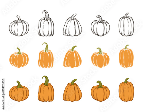 A set of pumpkins, black outlined and colored. Vector collection of cute hand drawn pumpkins on white background. Elements for autumn decorative design, halloween invitation, harvest thanksgiving
