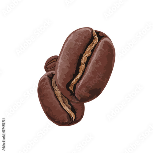 coffee beans isolated on white background