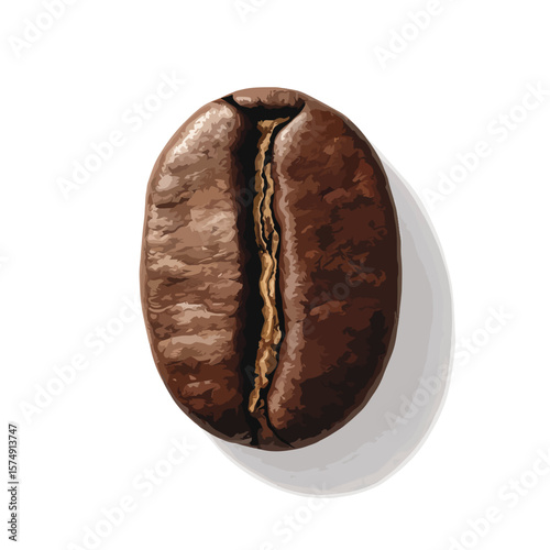 coffee beans isolated on white background