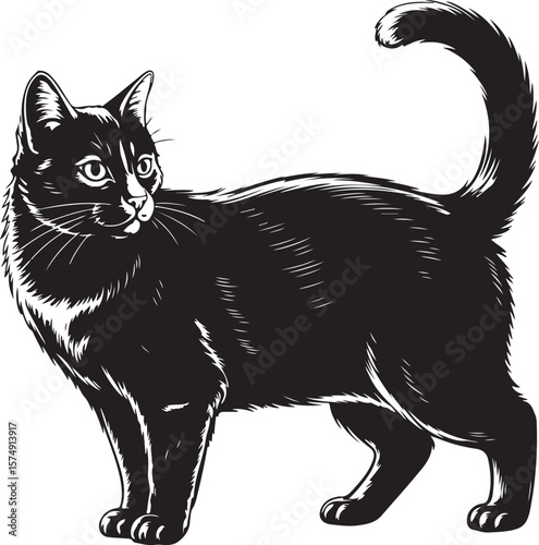 Crouching Black Cat Silhouette Vector, Stealthy Feline Clipart, Hunting Cat Pose Illustration