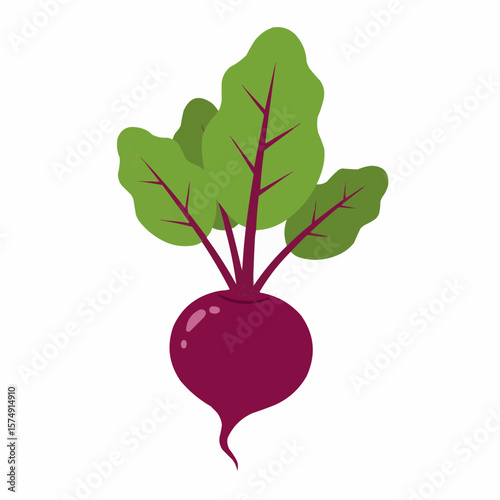 Freshly harvested beetroot showcasing vibrant greens and rich purple hue in a sunny farm setting ideal for healthy living