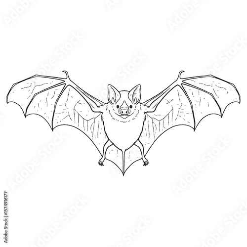 Deepest Bat Nocturnal Resilience Understanding - Bat vector - Bat Line art - Bat Drawing - Vector Lineart of Bat - Bat icon - its enduring hardy unchanging soul

