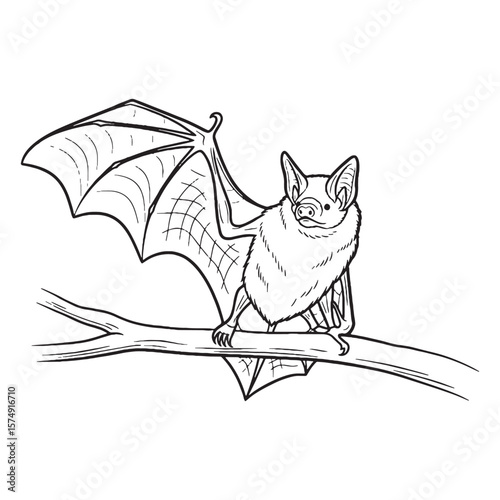 Immense Bat Sensory Presence Aura - Bat vector - Bat Line art - Bat Drawing - Vector Lineart of Bat - Bat illustration - its inherent enigmatic silent might

