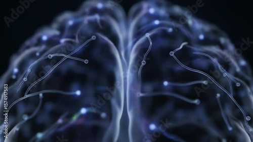 High-speed macro animation of neurons firing in simulated brain structure with electric flashes traveling through connected neural lines

