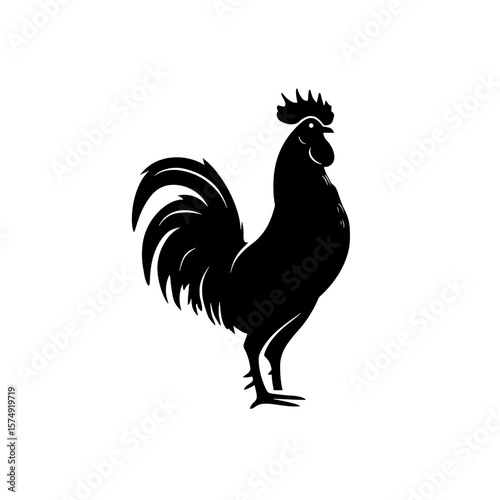 Silhouette of a rooster standing tall with detailed feathers and comb in a side profile view illustration