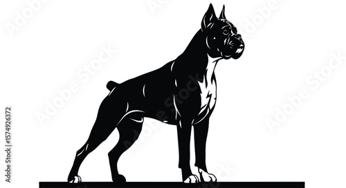 oxer Dog Silhouette in Bold Standing Pose on white — Monochrome Pet Illustration Highlighting Muscular Build, Loyalty, and Alert Character for Animal, Breed, and Graphic Design Concepts